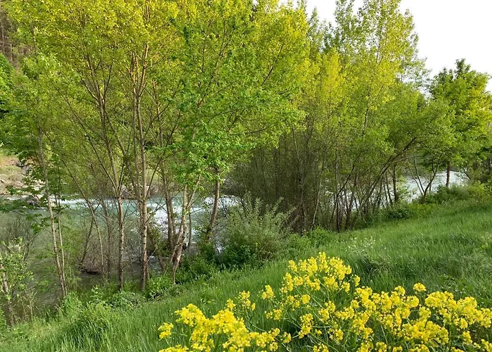 Le Long Du Verdon Castellane